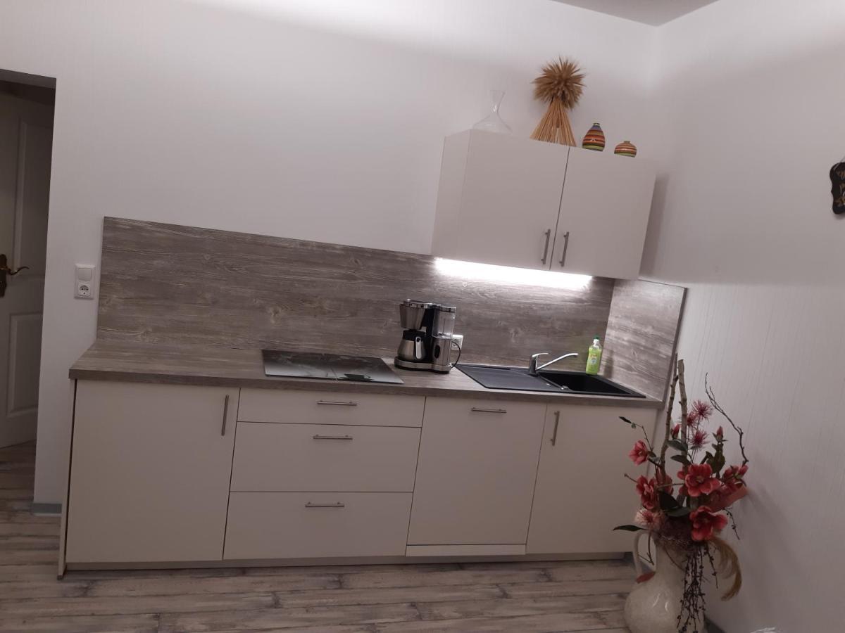 Apartment - Erdgeschoss