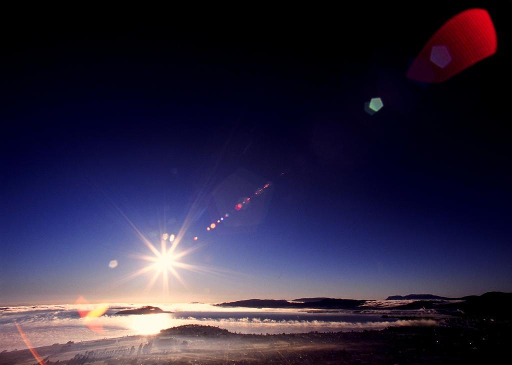 Single Room with Balcony and shared bathroom,151507603:JPEG