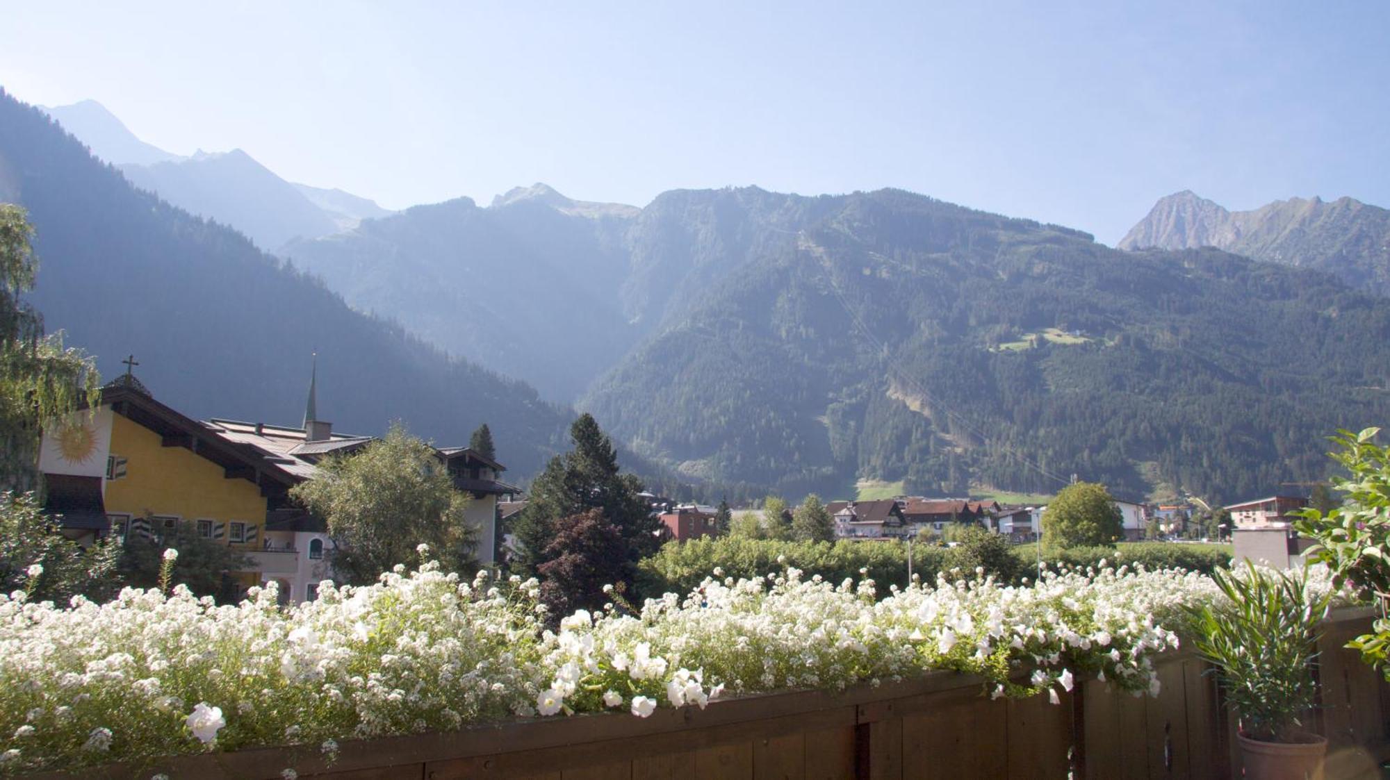 Single Room,1583077379:JPEG