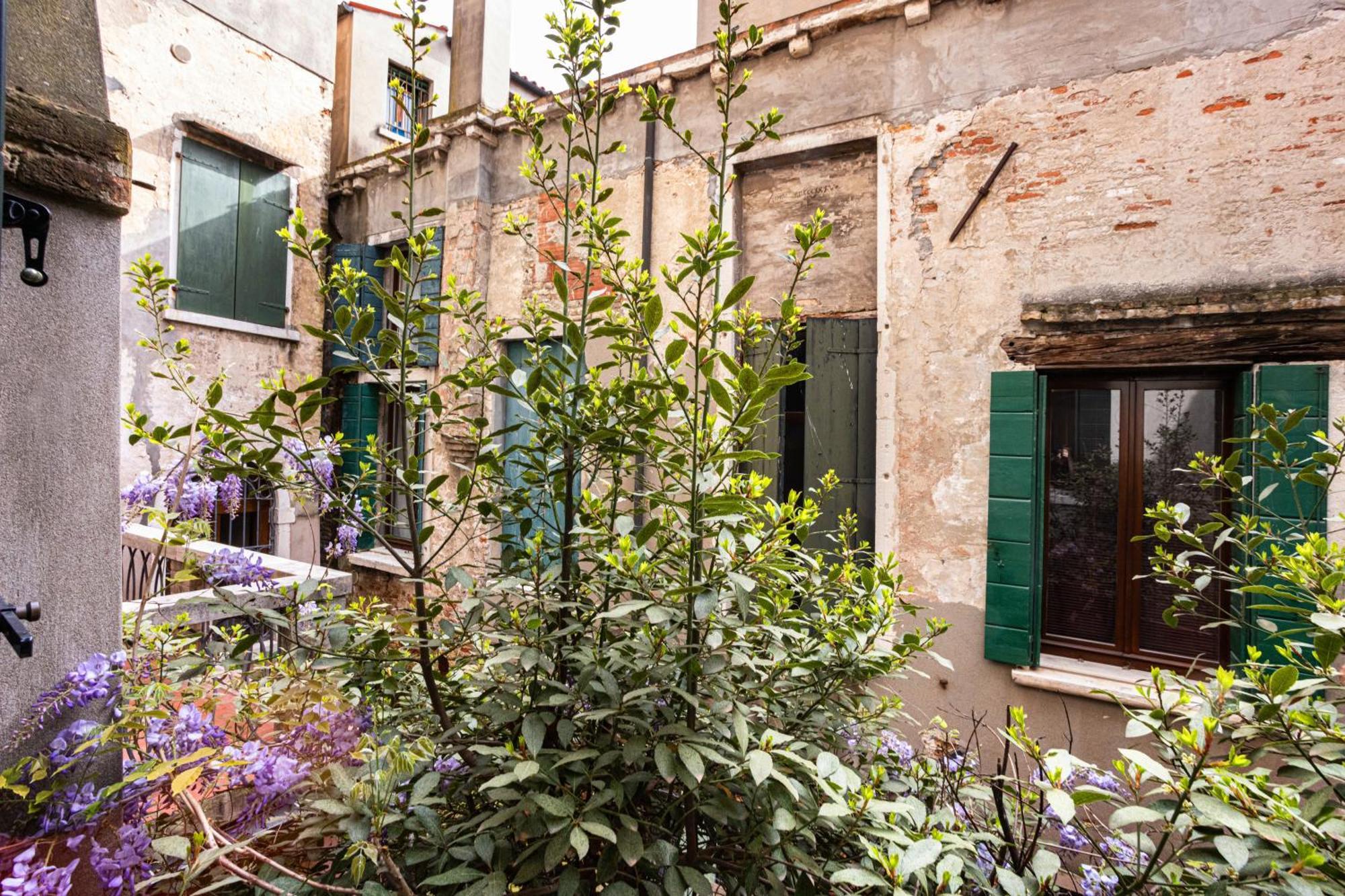 Superior Double Room with Terrace,1586142979:JPEG