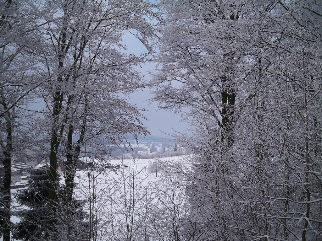 Einzelzimmer