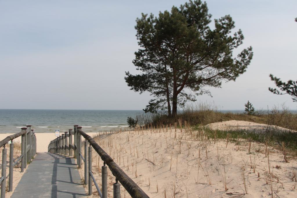 Single Room Ground Floor,227281184:JPEG