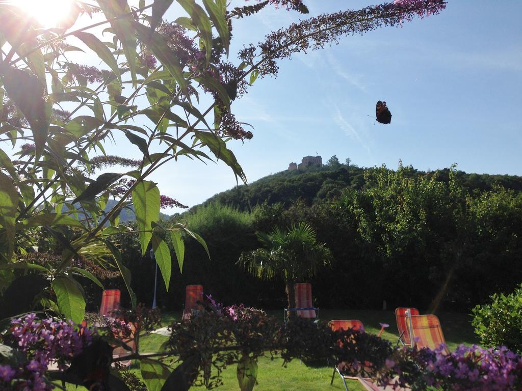 Double Room with Bathtub and Terrace,228255485:JPEG