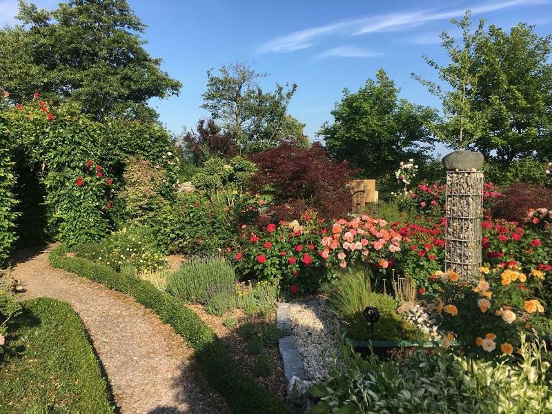 Apartment,883416541:JPEG