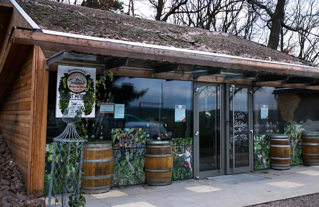 Pension Bella Vista - Winzerhof Golk-1
