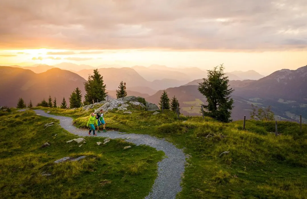 Mountain Fresh - Alpine Easy Stay-1
