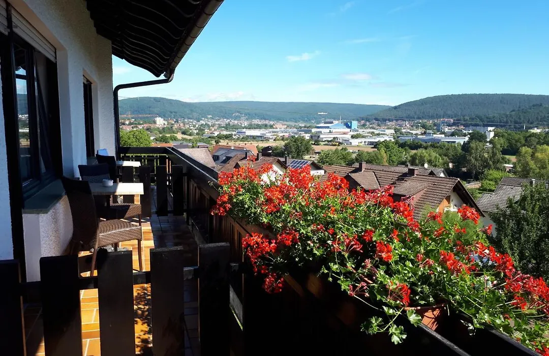 Hotel - Gasthof Spessarttor&Hotel Bergwiesen - Zimmer mit Balkon-1