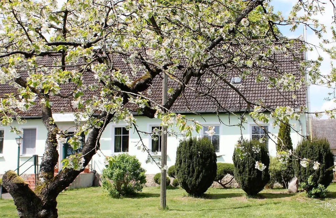 Pension Gestüt Lindenhof-1