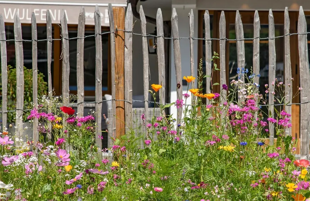 Gasthof-Pension Wulfenia-1