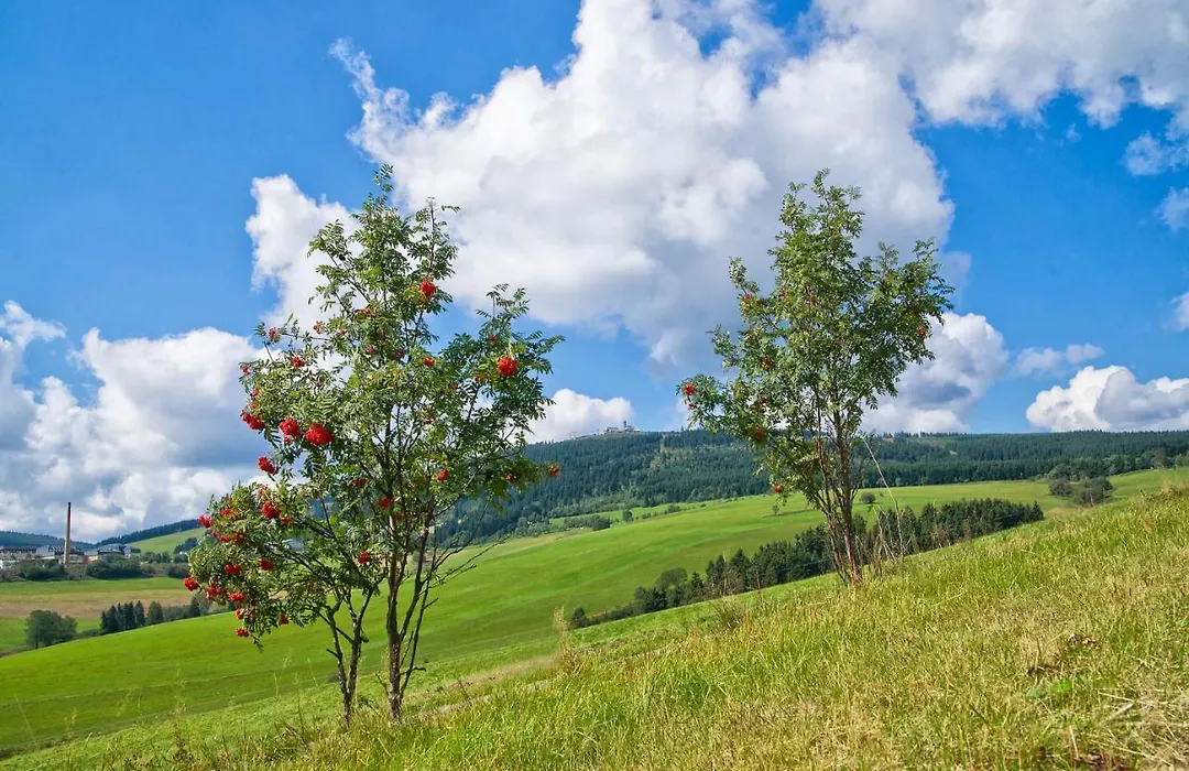 Pension Am Roten Hammer-1