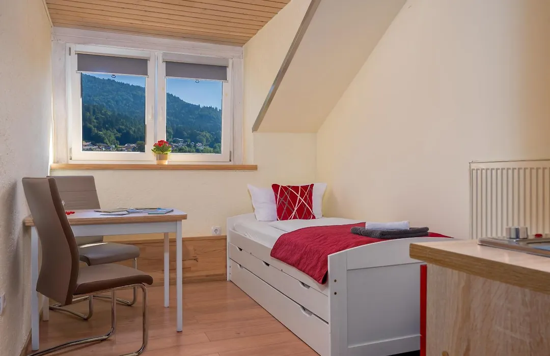 Pension Bayerwald-1
