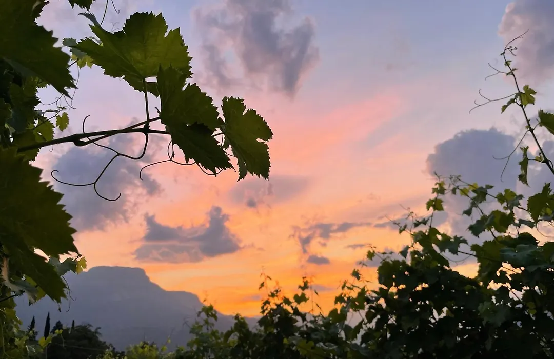 Pension Etschblick B&B-1