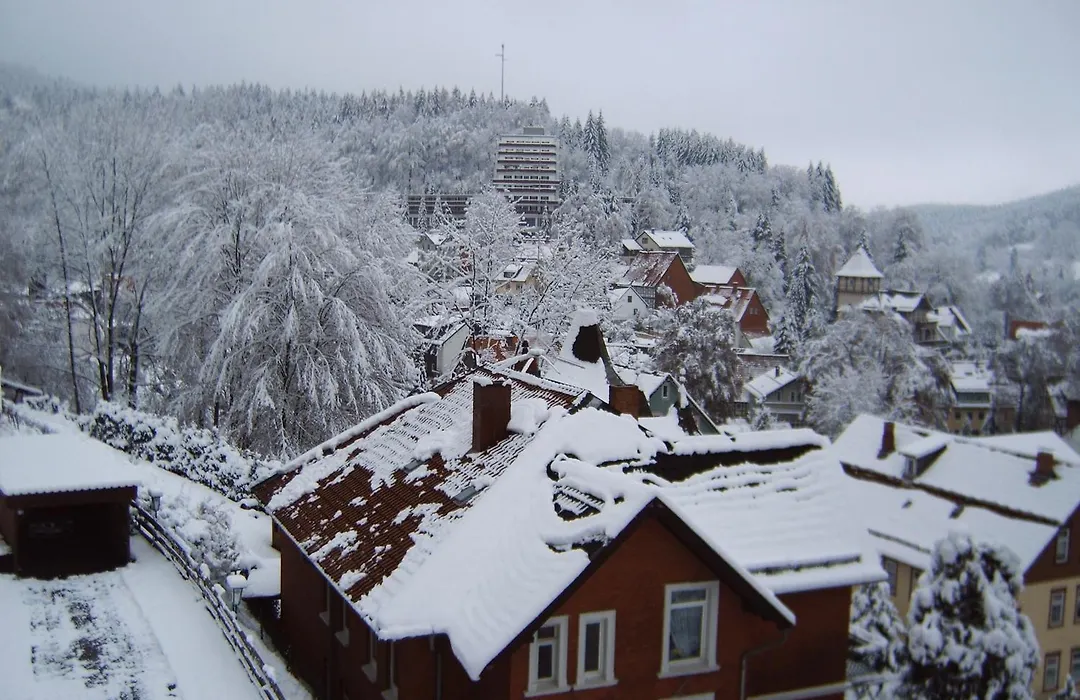 Hotel-Pension Waldhaus-1