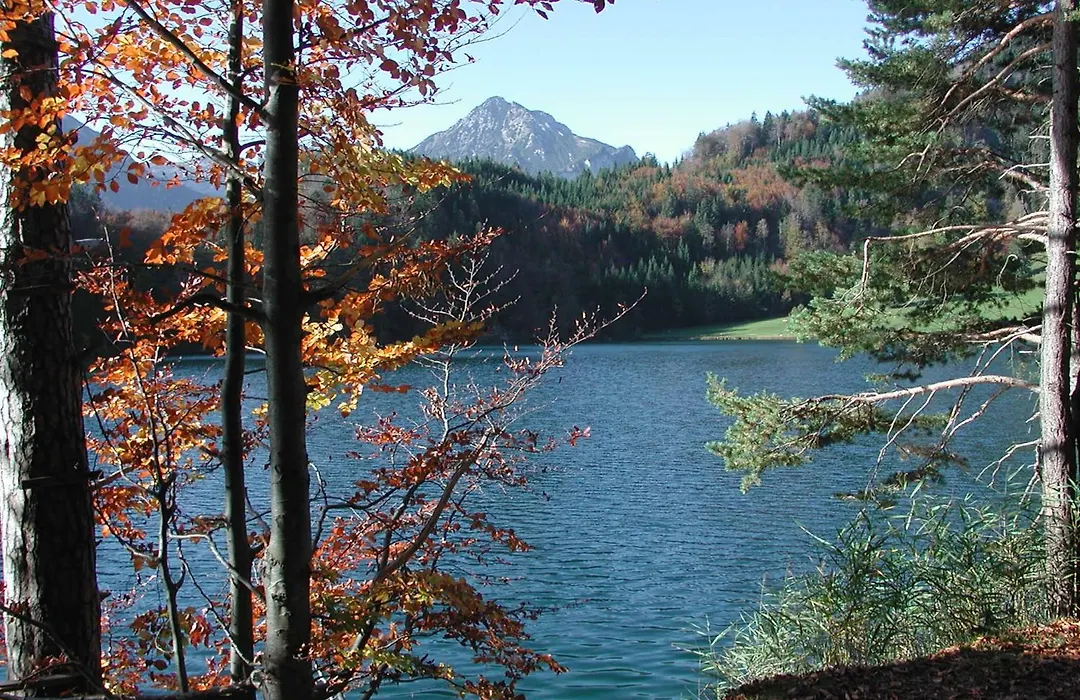 Die Lilie / Hotel Garni-1