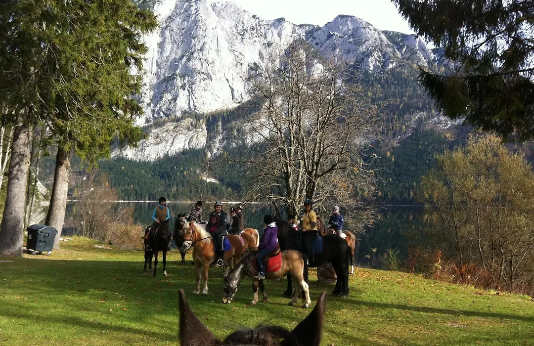 Reitbauernhof Schartner-1