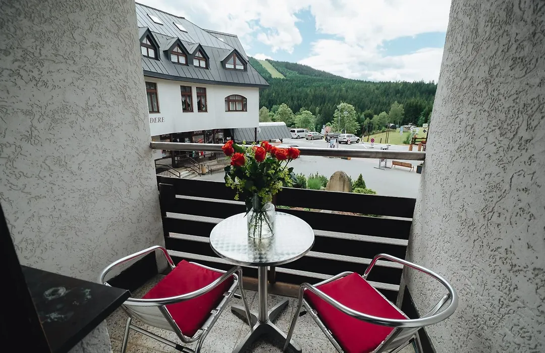 Pension Mona-1