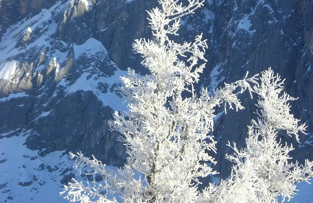 Gasthof Hunerkogel-1