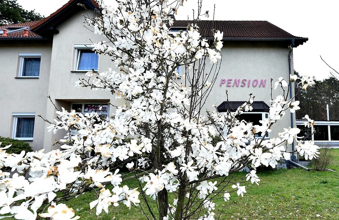 Pension Schwesinger-1