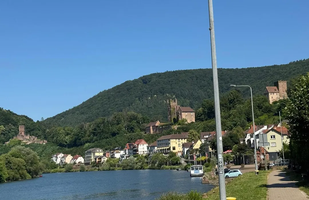 Hotel Garni Neckarblick-1