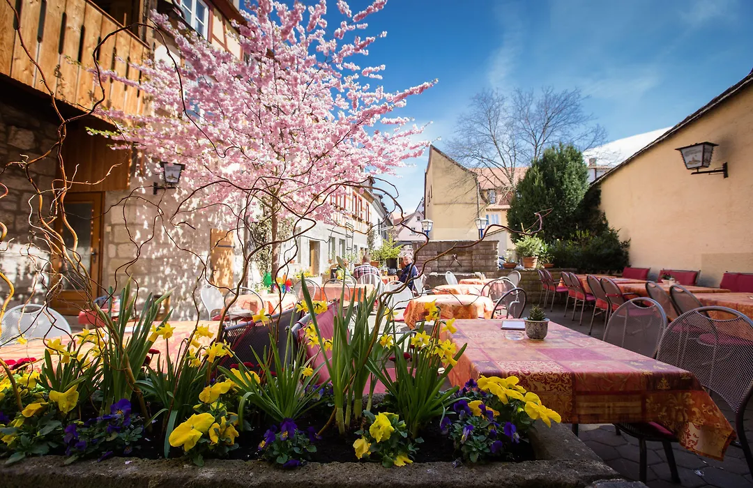 Hotel-Gasthof Goldener Greifen-1