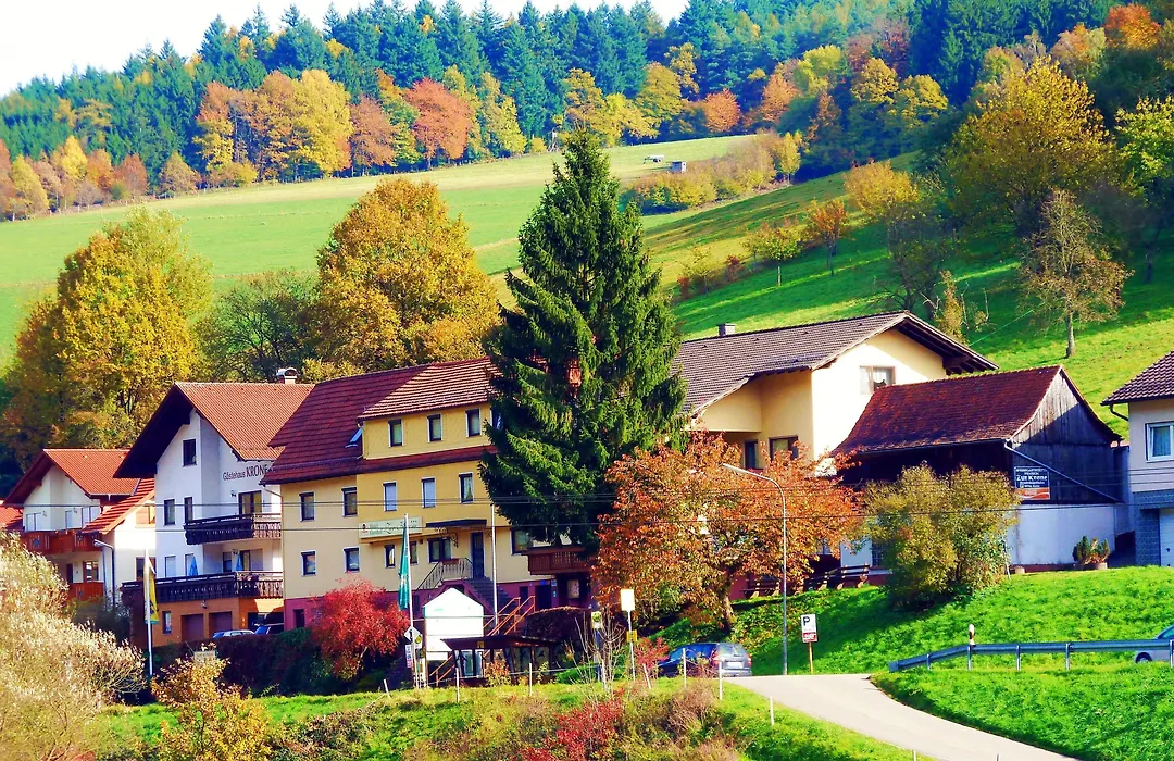Hotel Gasthof Zur Krone Odenwald-Sterne-Hotel-1