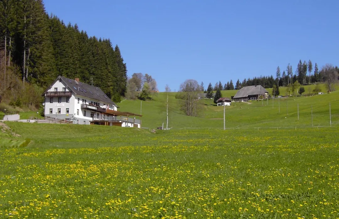 Gasthaus Pension Donishäusle-1