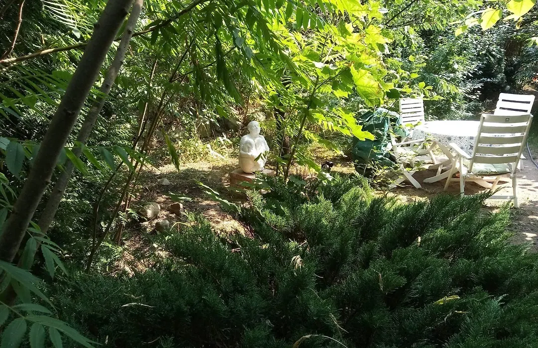 Pension an der Stadtmauer-1