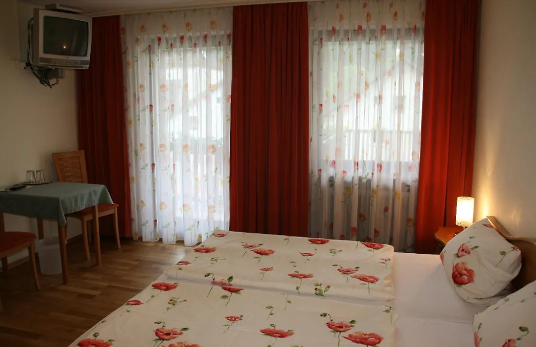 Pension Holzapfel-1
