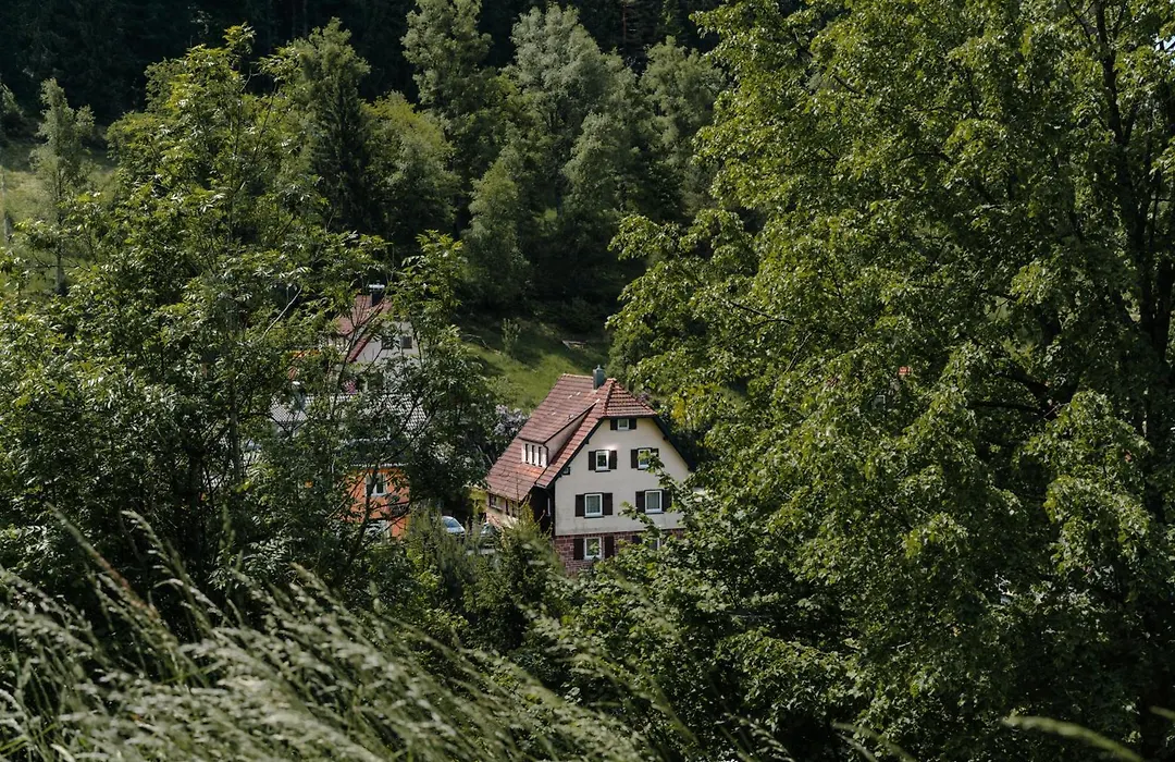 Gasthaus Talblick - Schwarzwald Plus Karte inkludiert-1