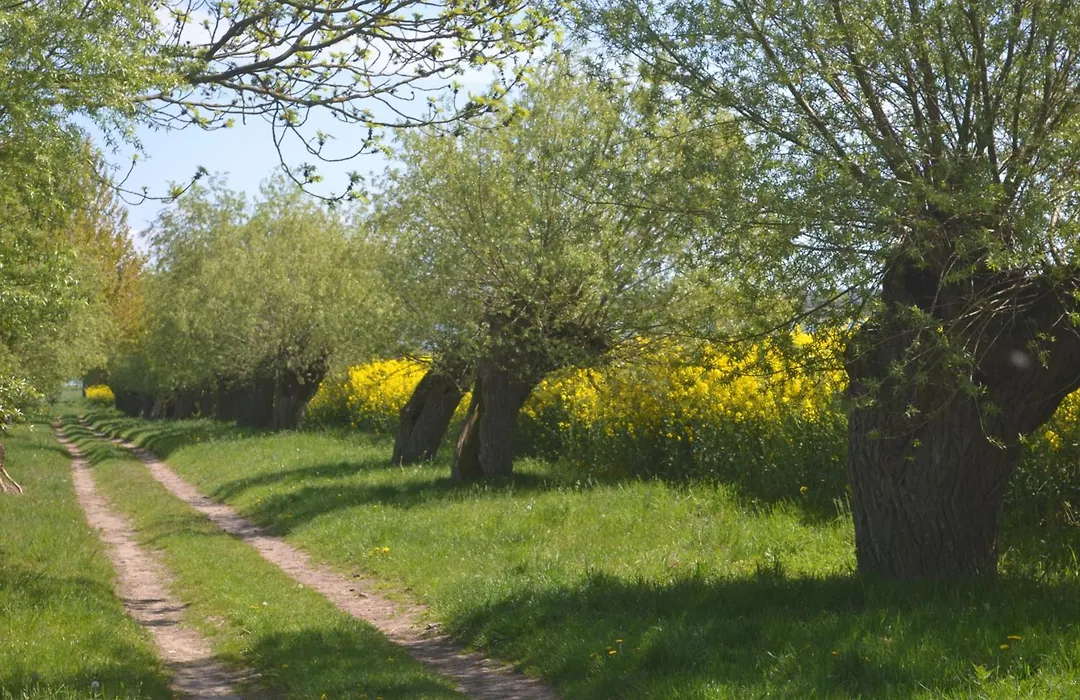 Pension Haß-1