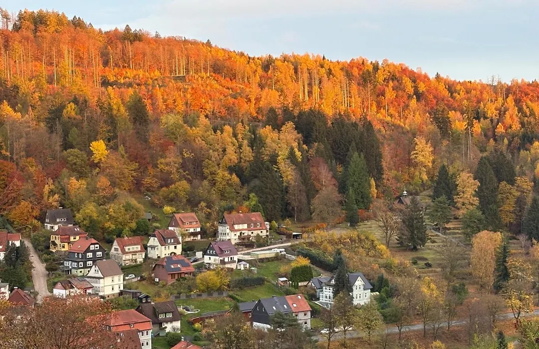 Pension Talblick Bad Grund-1