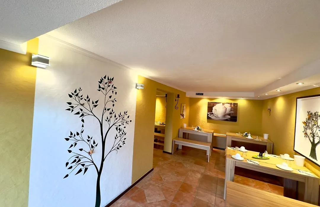 Europa Pension zum Grünen Baum-1
