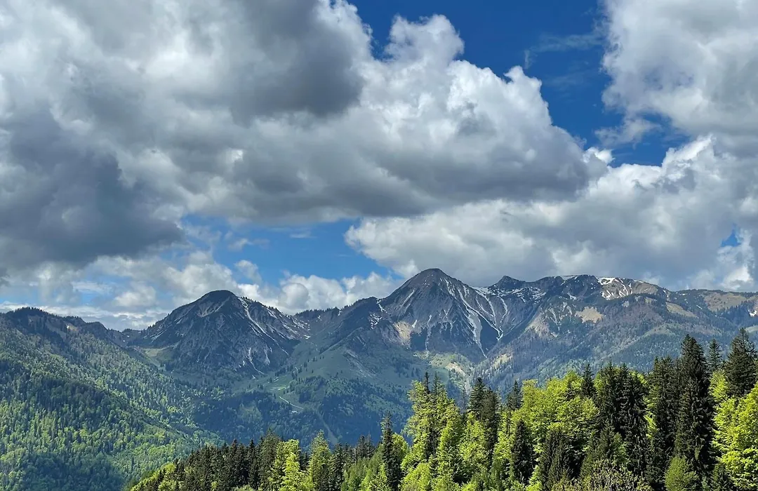 Gasthof Prinzregent Superior-1