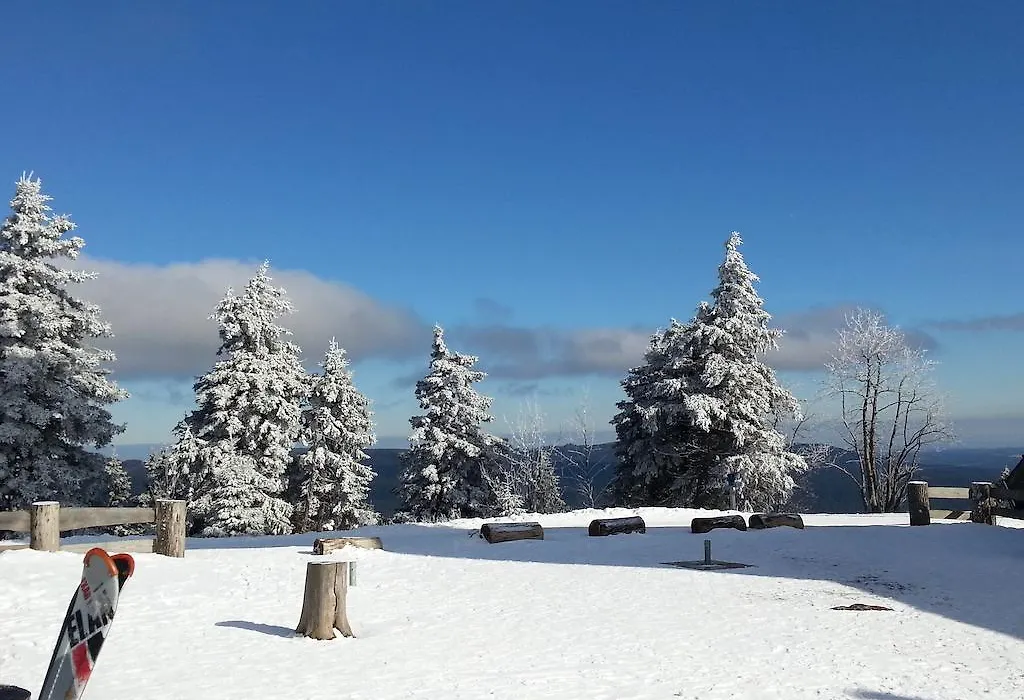 Pension Haus Petra-1