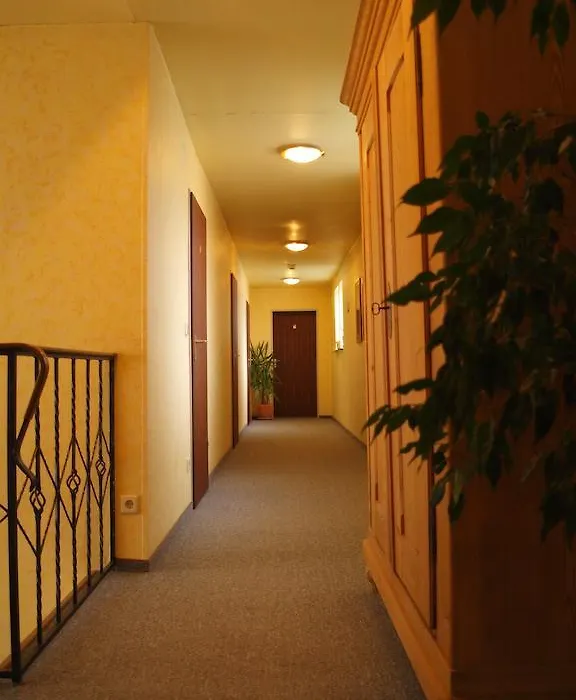 Hotel Garni Pension Ruth-1
