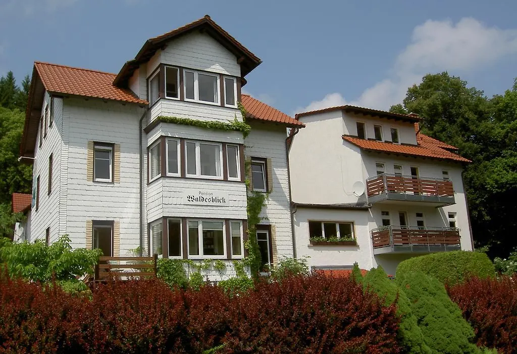 Pension Waldesblick-1