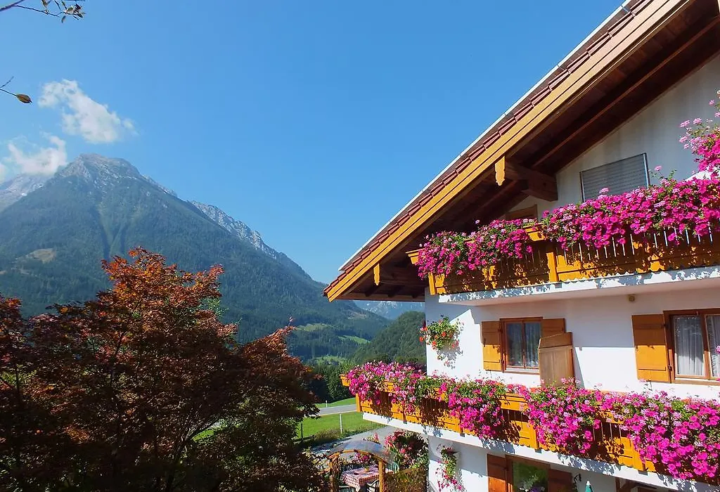 Gästehaus Amort-1