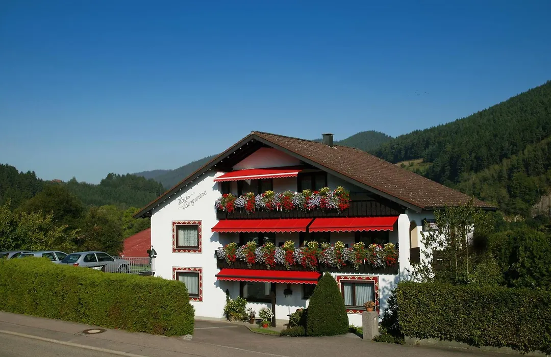 Haus Bergwiese-1