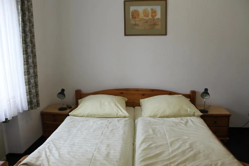 Pension Locarno-1