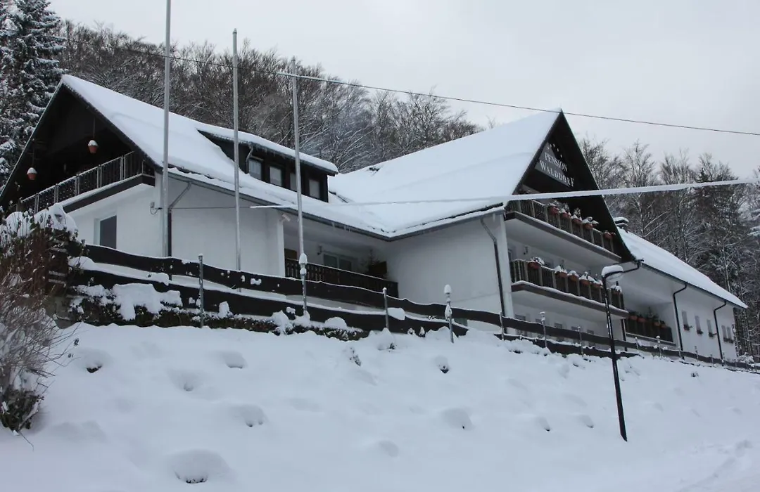Pension Walddorf-1