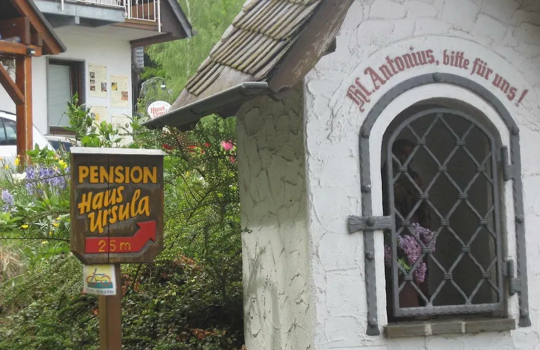 Pension Haus Ursula-1