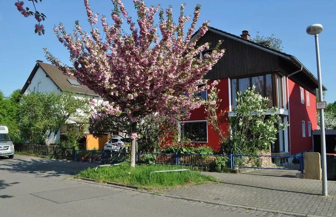 Punkrock Harbour Pension Bähr-1
