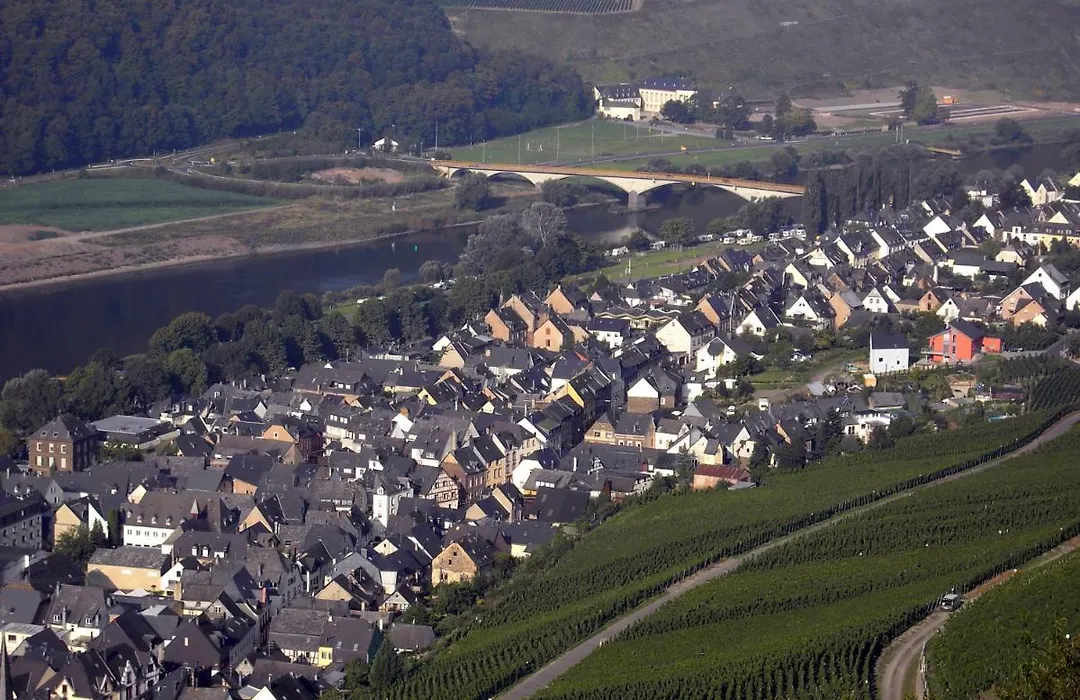 Weinstube Pension Moselblümchen-1