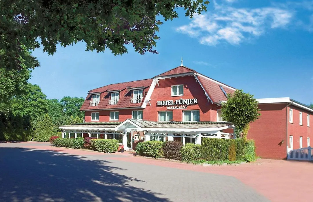 Hotel Puenjer-1
