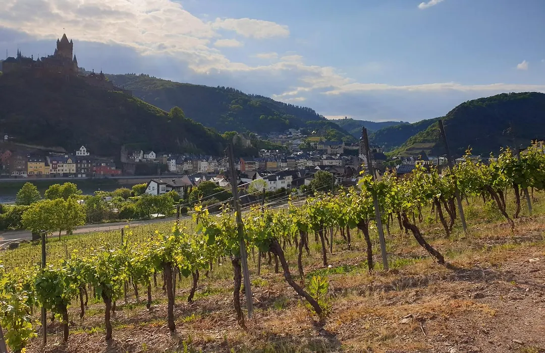 Weingut Haxel-1