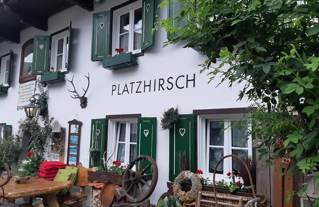 Platzhirsch zur alten Wagnerei Gästehaus-1
