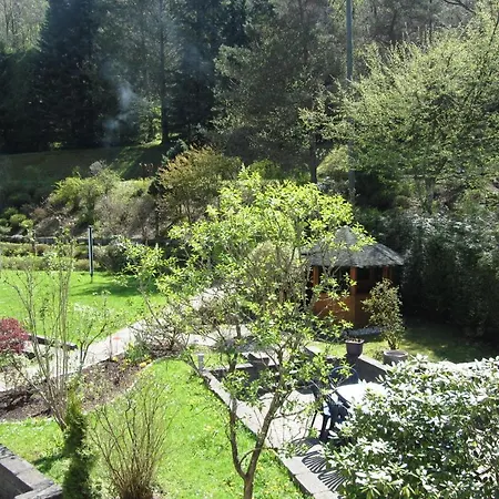 Pension zum Rothaarsteig-3