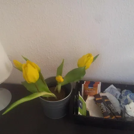 Relax Aachener Boardinghouse Budget-2