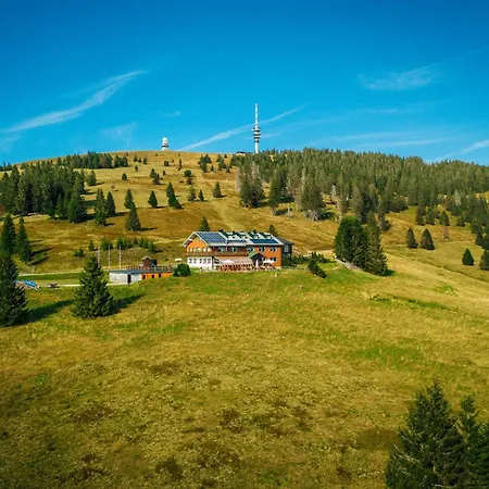 Berggasthof zur Todtnauer Hütte-2
