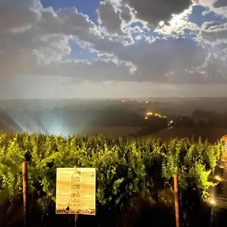 Pension Bella Vista - Winzerhof Golk-3